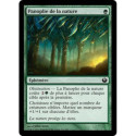 (Foil) Verte - Panoplie de la nature (C) [JOU]
