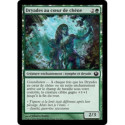 (Foil) Verte - Dryades au cœur de chêne (C) [JOU]