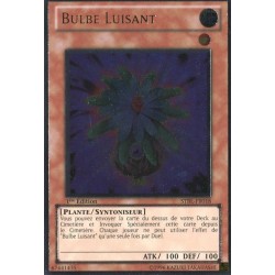 Bulbe Luisant (UR) [STBL]