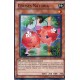 Cerises Naturia (SR) [STBL]