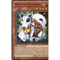 Chien a la Chaîne (R) [STBL]