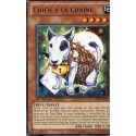 Chien a la Chaîne (R) [STBL]