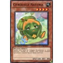 Citrouille Naturia (C) [STBL]