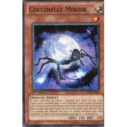 Coccinelle Miroir (C) [STBL]