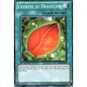 Criniere de Dragolion (C) [STBL]