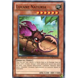 Lucane Naturia (C) [STBL]