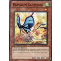 Papillon Captivant (C) [STBL]