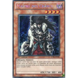 Maître des Crânes (STR) [STBL]