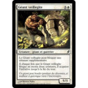 (Foil) Blanche - Géant veillegîte (C) [LRW]