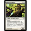 (Foil) Blanche - Chêne sentinelle (U) [LRW]