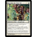 (Foil) Blanche - Boucliers de Velis Vel (C) [LRW]