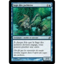 (Foil) Bleue - Sage des jachères (U) [LRW]