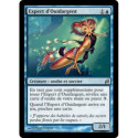 (Foil) Bleue - Expert d'Ouidargent (U) [LRW]
