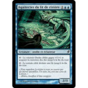 (Foil) Bleue - Aquitectes du lit de rivière (C) [LRW]