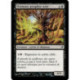 (Foil) Noire - Shamane peuplier noir (C) [LRW]