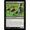 (Foil) Noire - Vagabond des cairns (R) [LRW]
