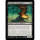 (Foil) Noire - Envoûteur roncedent (U) [LRW]