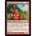 (Foil) Rouge - Balourd des basses terres (C) [LRW]