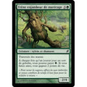 (Foil) Verte - Frêne enjambeur de marécage (C) [LRW]