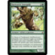 (Foil) Verte - Durécorce intrépide (R) [LRW]