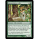 (Foil) Verte - Annonciatrice elfe (U) [LRW]