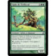 (Foil) Verte - Vigile de Trèfleval (U) [LRW]