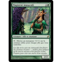 (Foil) Verte - Magistrat immaculé (R) [LRW]