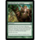 (Foil) Verte - Banderoles de Lammas (U) [LRW]