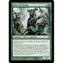 (Foil) Verte - Élite de Narth (C) [LRW]