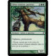 (Foil) Verte - Chêne noueux guerrier (C) [LRW]
