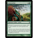(Foil) Verte - Lutteracine (C) [LRW]