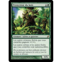 (Foil) Verte - Protecteur du bois (R) [LRW]