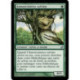(Foil) Verte - Annonciatrice sylvine (U) [LRW]