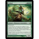 (Foil) Verte - Ardeur (R) [LRW]
