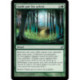 (Foil) Verte - Guidé par les sylves (U) [LRW]