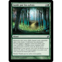 (Foil) Verte - Guidé par les sylves (U) [LRW]