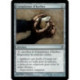 (Foil) Incolore - Cataplasme d'herbes (C) [LRW]