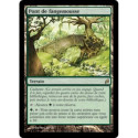 (Foil) Terrain - Pont de fangemousse (R) [LRW]