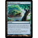 (Foil) Terrain - Île du havre-coque (R) [LRW]