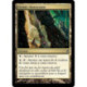 (Foil) Terrain - Grotte chatoyante (C) [LRW]