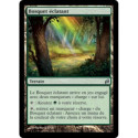 (Foil) Terrain - Bosquet éclatant (U) [LRW]