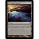 (Foil) Terrain - Marécage éclatant (U) [LRW]