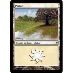 (Foil) Terrain - Plaine (V2) (L) [LRW]