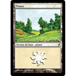 (Foil) Terrain - Plaine (V3) (L) [LRW]