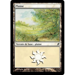 (Foil) Terrain - Plaine (V4) (L) [LRW]