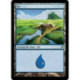 (Foil) Terrain - Île (V1) (L) [LRW]