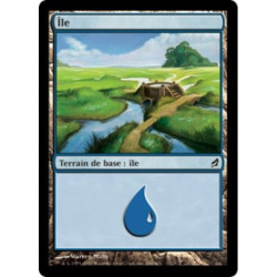 (Foil) Terrain - Île (V1) (L) [LRW]