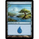 (Foil) Terrain - Île (V4) (L) [LRW]