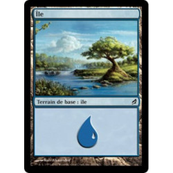 (Foil) Terrain - Île (V4) (L) [LRW]