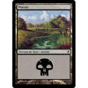 (Foil) Terrain - Marais (V1) (L) [LRW]